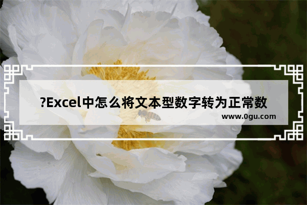 ?Excel中怎么将文本型数字转为正常数字 Excel将文本型数字转为正常数字的方法教程