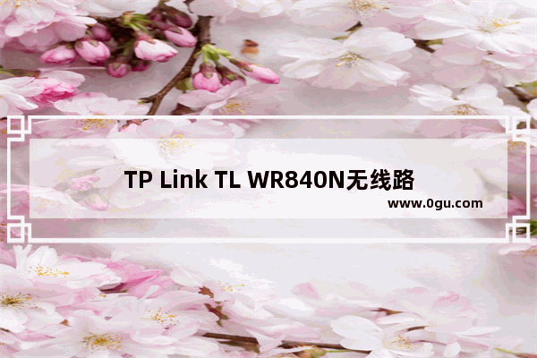 TP Link TL WR840N无线路由器管理员密码是什么？