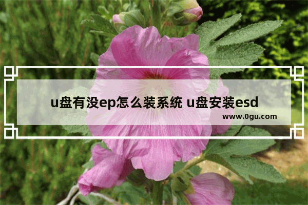 u盘有没ep怎么装系统 u盘安装esd