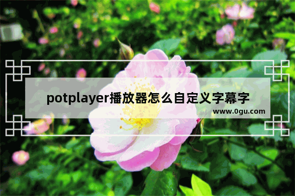 potplayer播放器怎么自定义字幕字体 potplayer播放器自定义字幕字体的方法