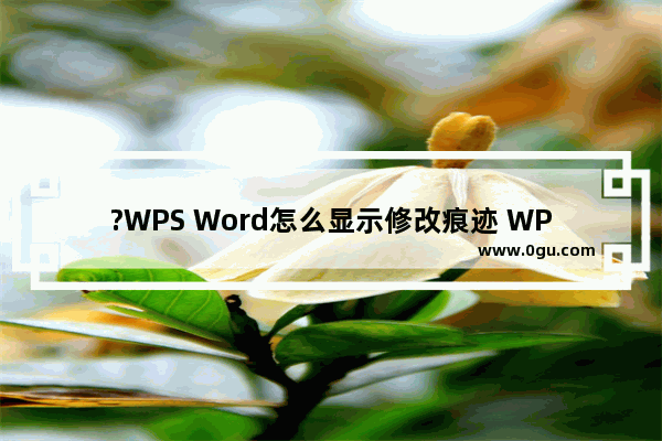 ?WPS Word怎么显示修改痕迹 WPS文档显示修改记录的方法教程