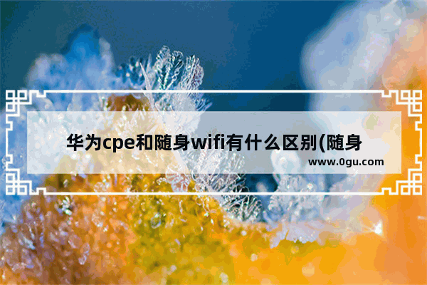 华为cpe和随身wifi有什么区别(随身wifi好还是无线路由器好)