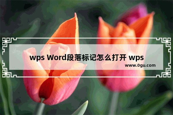 wps Word段落标记怎么打开 wps Word打开段落标记的方法