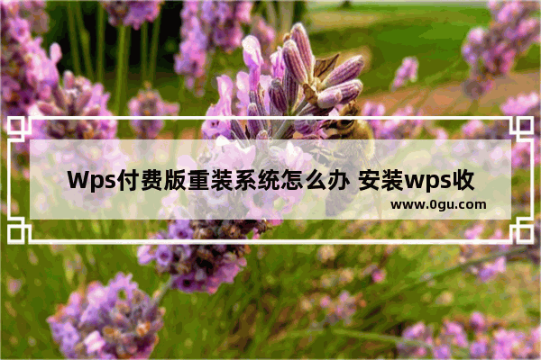 Wps付费版重装系统怎么办 安装wps收费吗