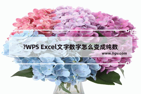 ?WPS Excel文字数字怎么变成纯数字 WPS Excel将文本型数字转换为正常数字的详细教程