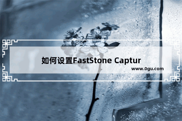 如何设置FastStone Capture在截图后自动增加水印 FastStone Capture截图后自动添加水印的设置方法