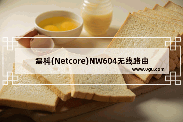 磊科(Netcore)NW604无线路由器安装设置教程