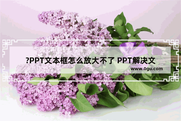 ?PPT文本框怎么放大不了 PPT解决文本框不能拉大的方法教程