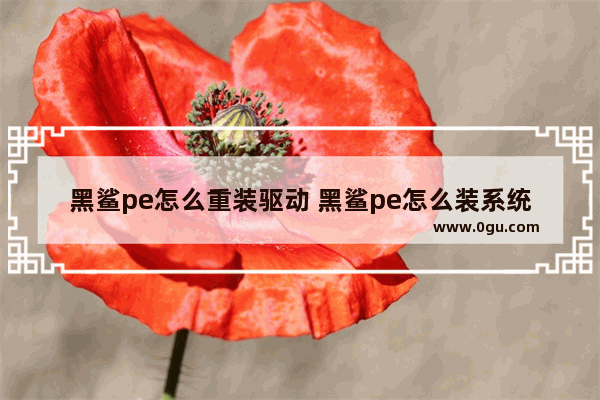 黑鲨pe怎么重装驱动 黑鲨pe怎么装系统