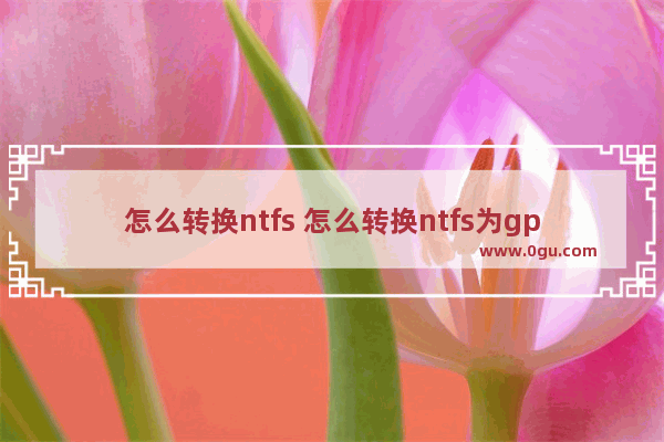 怎么转换ntfs 怎么转换ntfs为gpt