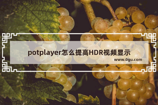 potplayer怎么提高HDR视频显示效果 potplayer设置提高HDR视频显示效果的方法