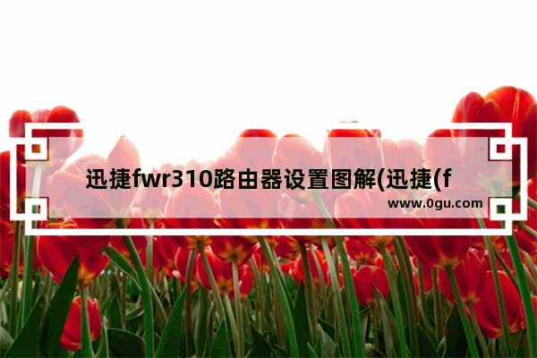 迅捷fwr310路由器设置图解(迅捷(fast)fwr310无线路由器)