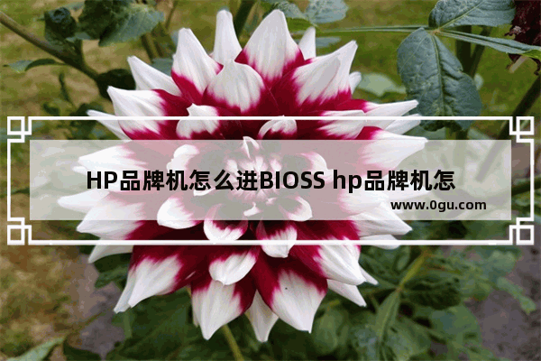 HP品牌机怎么进BIOSS hp品牌机怎么进安全模式