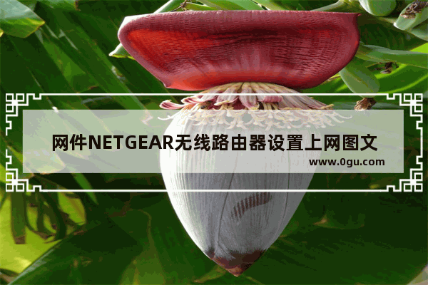 网件NETGEAR无线路由器设置上网图文方法