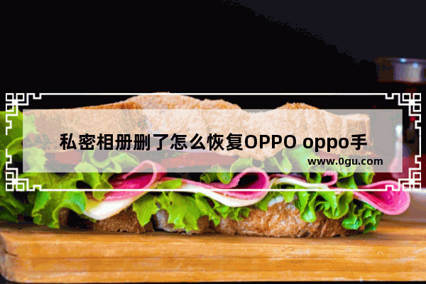 私密相册删了怎么恢复OPPO oppo手机私密相册删除了怎么恢复照片免费恢复