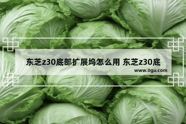 东芝z30底部扩展坞怎么用 东芝z30底部扩展坞怎么用不了