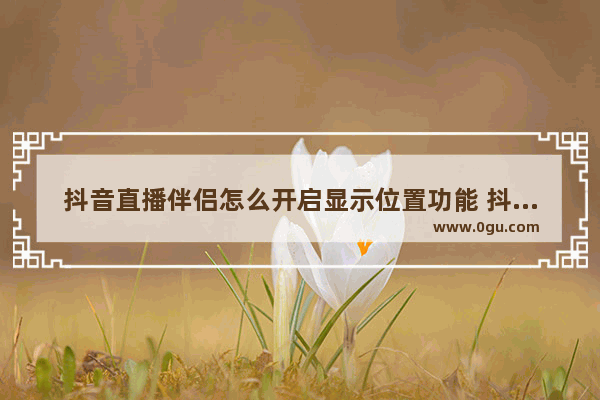 抖音直播伴侣怎么开启显示位置功能 抖音直播伴侣开启显示位置功能的方法