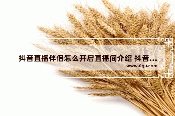 抖音直播伴侣怎么开启直播间介绍 抖音直播伴侣开启直播间介绍的方法