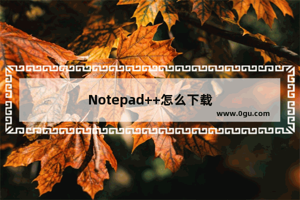 Notepad++怎么下载