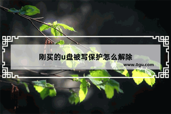 刚买的u盘被写保护怎么解除