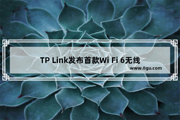 TP Link发布首款Wi Fi 6无线路由评测