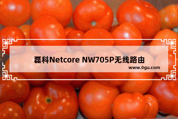 磊科Netcore NW705P无线路由器设置步骤图解