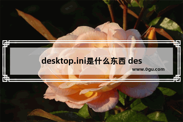 desktop.ini是什么东西 desktop.ini文件的介绍