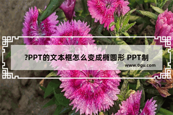 ?PPT的文本框怎么变成椭圆形 PPT制作椭圆形文本框的方法教程