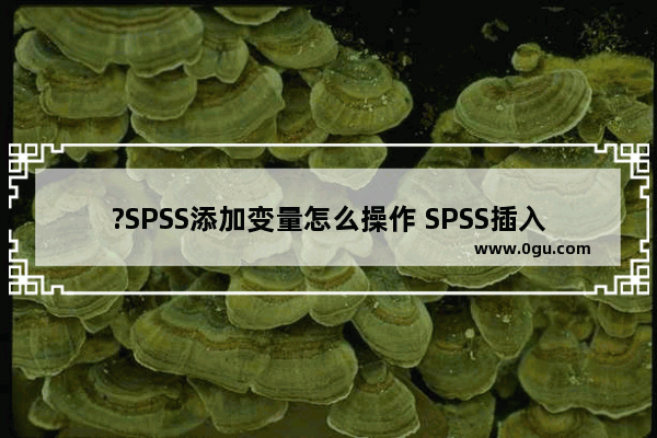 ?SPSS添加变量怎么操作 SPSS插入变量的方法教程