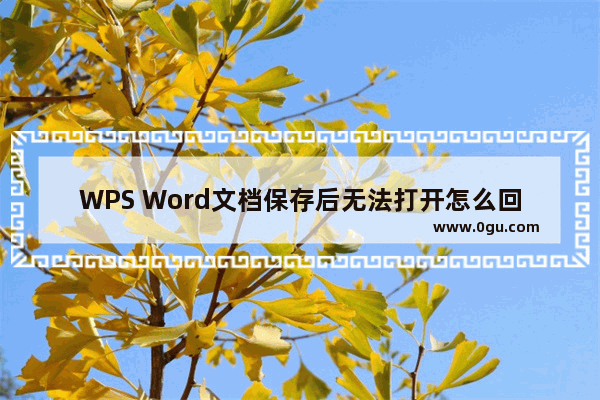 WPS Word文档保存后无法打开怎么回事 WPS Word文档保存后无法打开解决方法