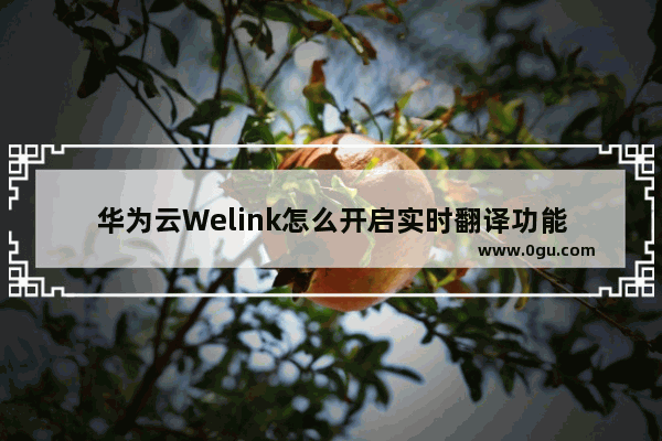 华为云Welink怎么开启实时翻译功能