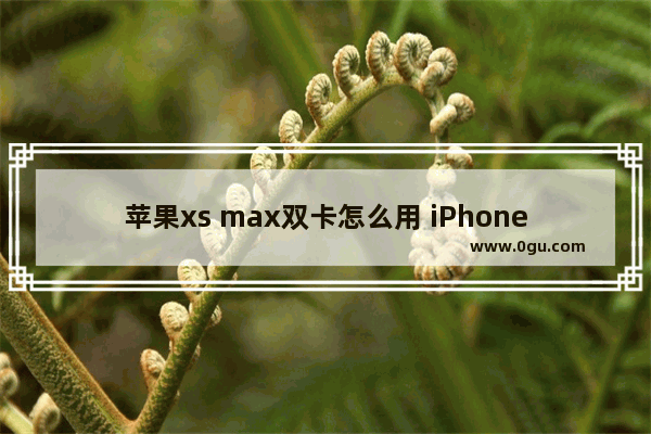 苹果xs max双卡怎么用 iPhone Xs Max双卡使用指南