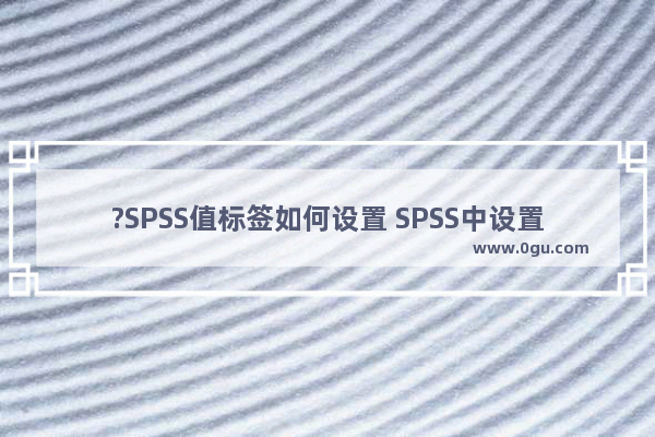 ?SPSS值标签如何设置 SPSS中设置值标签的方法教程