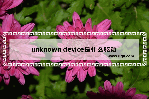 unknown device是什么驱动 显示Unknown Device解决方法