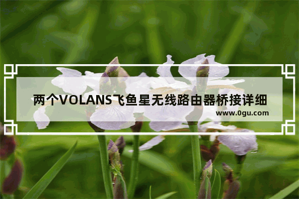 两个VOLANS飞鱼星无线路由器桥接详细步骤