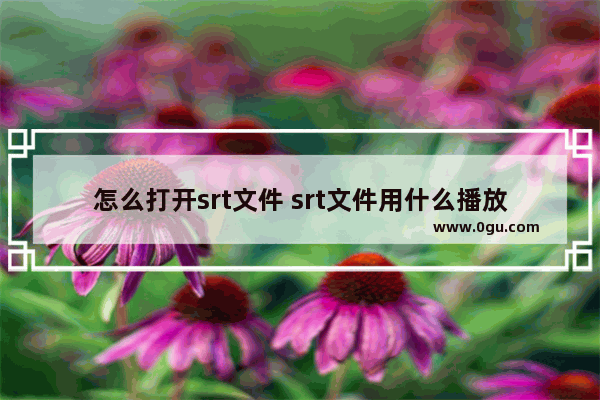 怎么打开srt文件 srt文件用什么播放器打开