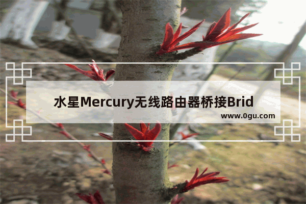 水星Mercury无线路由器桥接Bridge设置图文方法