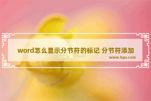 word怎么显示分节符的标记 分节符添加的方法