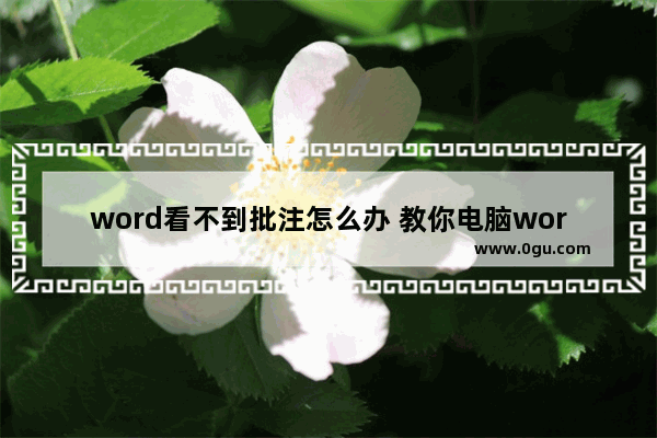 word看不到批注怎么办 教你电脑word批注添加办法