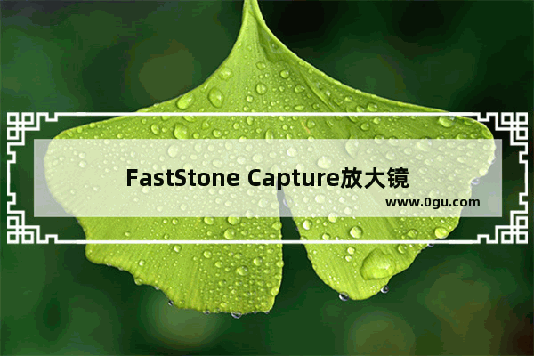 FastStone Capture放大镜怎么使用 FastStone Capture放大镜的使用方法