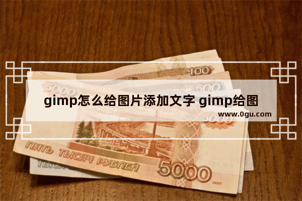 gimp怎么给图片添加文字 gimp给图片添加文字的方法