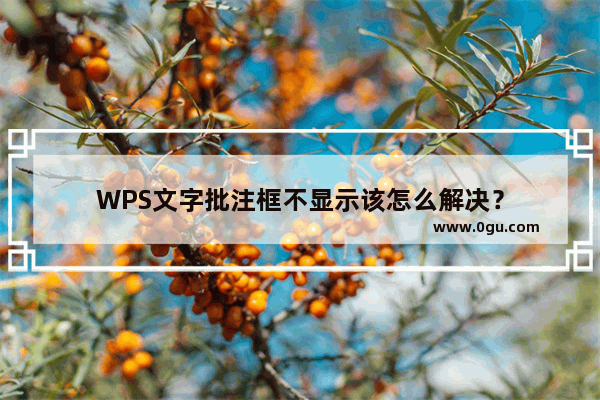 WPS文字批注框不显示该怎么解决？