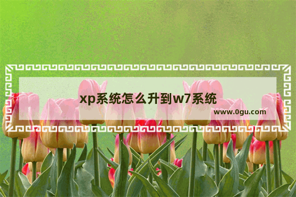 xp系统怎么升到w7系统