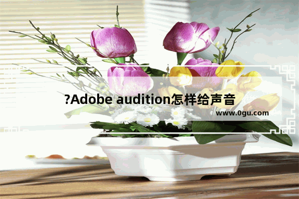 ?Adobe audition怎样给声音去噪 audition给音频降噪去噪音的方法