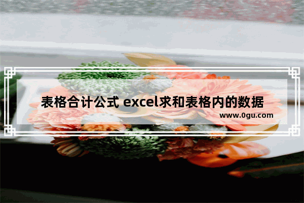 表格合计公式 excel求和表格内的数据技巧