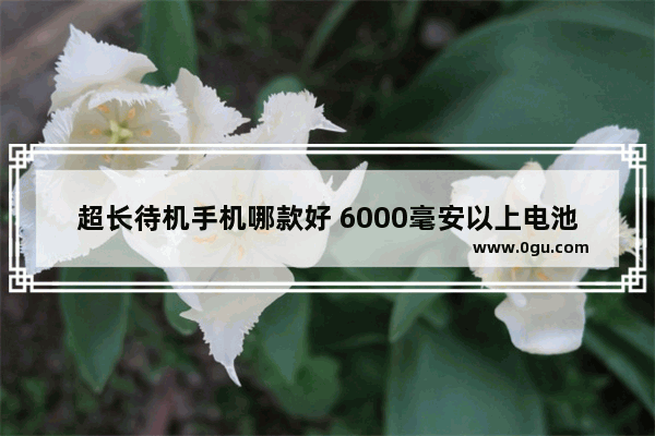 超长待机手机哪款好 6000毫安以上电池的手机排行