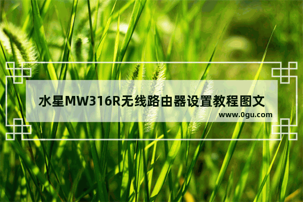 水星MW316R无线路由器设置教程图文