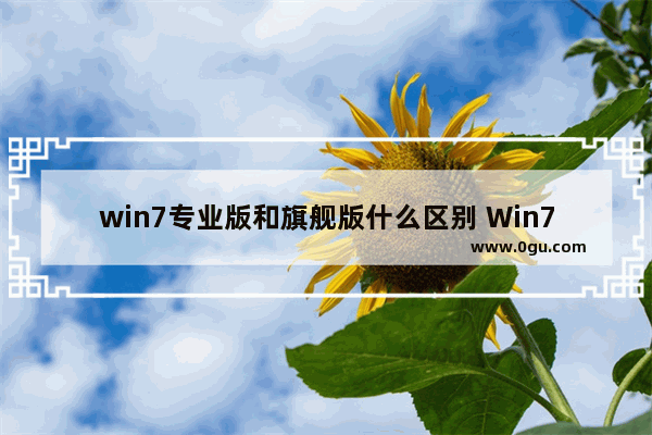 win7专业版和旗舰版什么区别 Win7专业版和Win7旗舰版对比