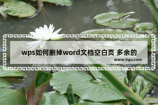 wps如何删掉word文档空白页 多余的空白页删除小妙招