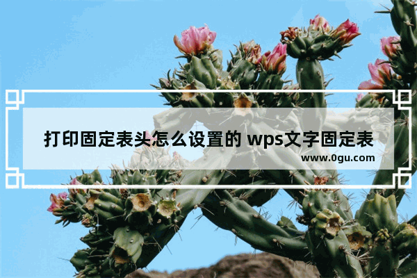 打印固定表头怎么设置的 wps文字固定表头打印方法